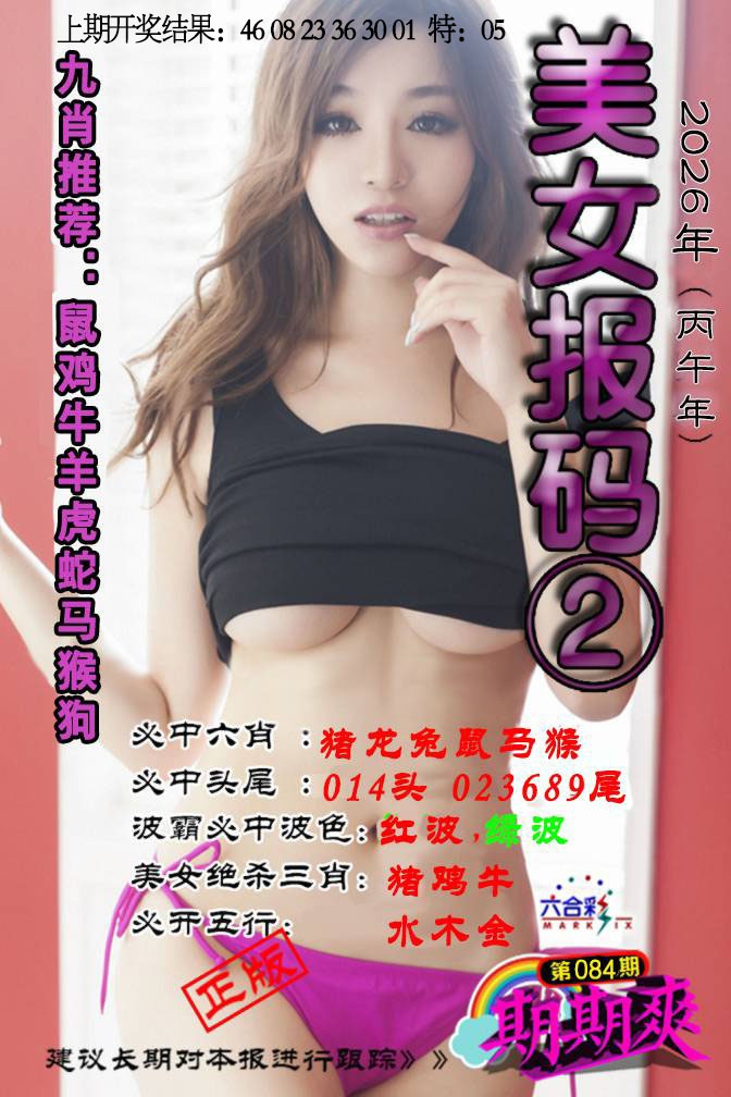 084期美女码报2[图]